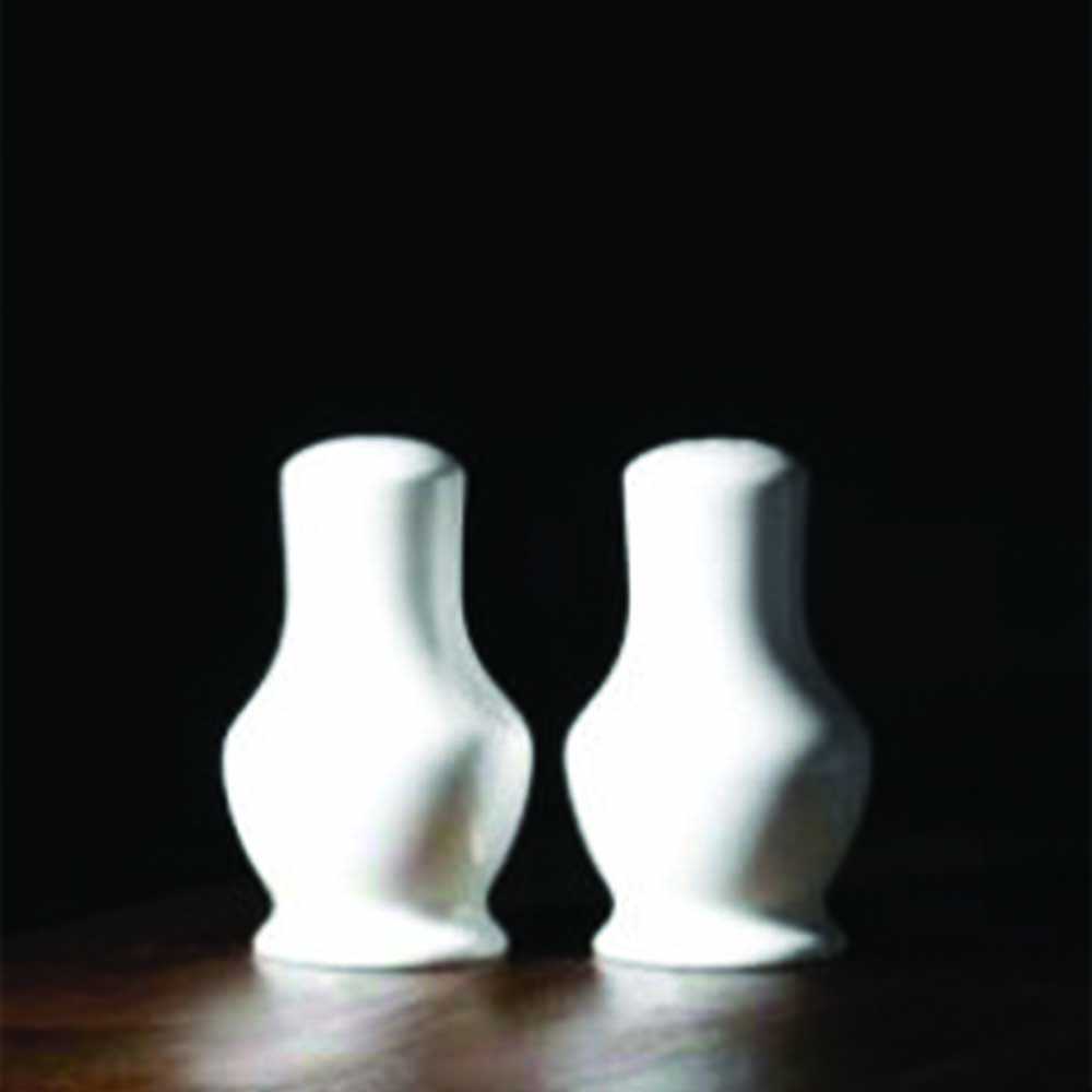 Sussex Fine Bone China Condiment Set